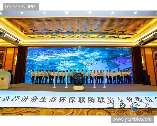 武汉羽毛球队区域防守创新之路：战术变革与团队协作的深度解析